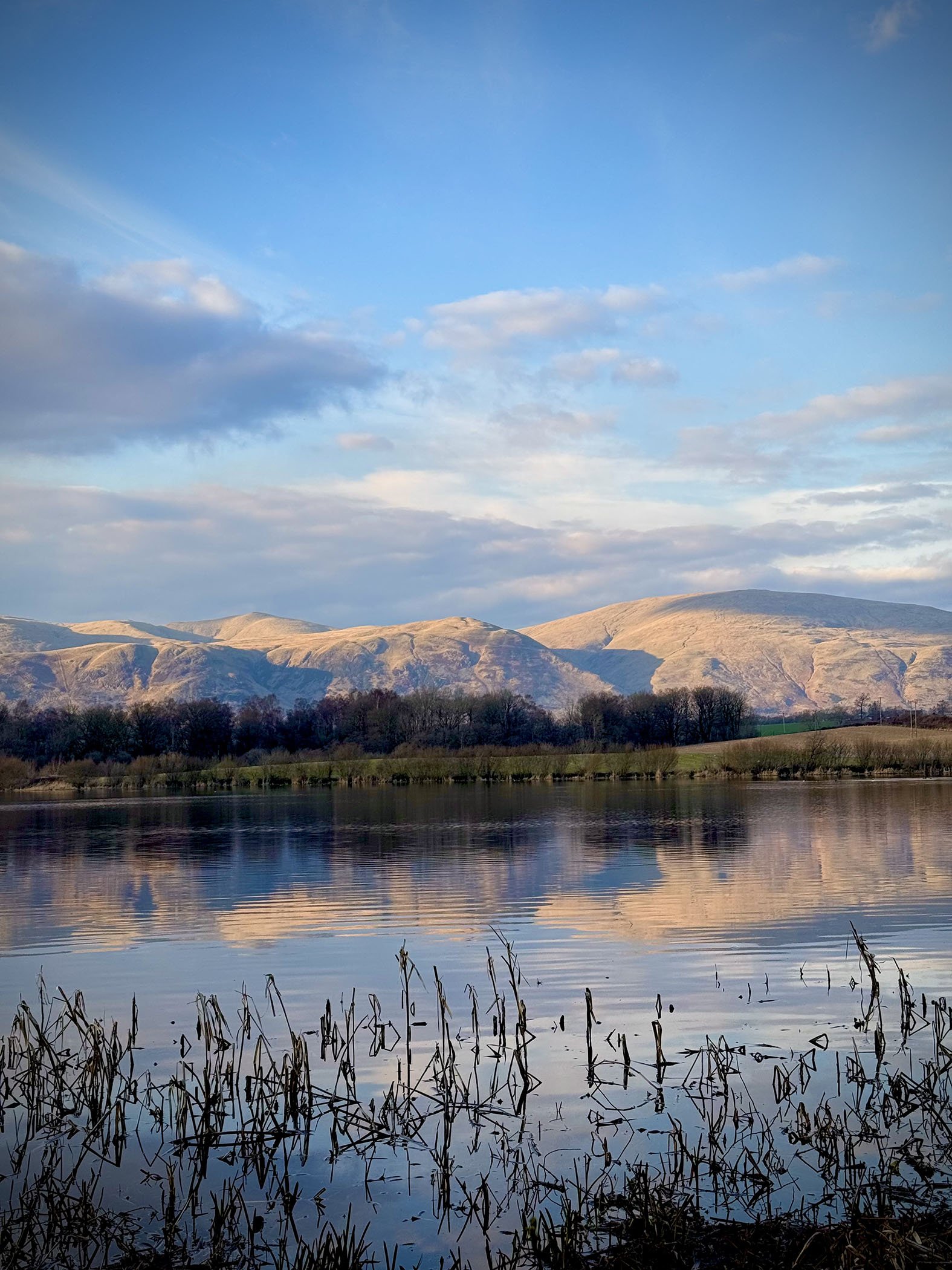 The Wilds of Scotland