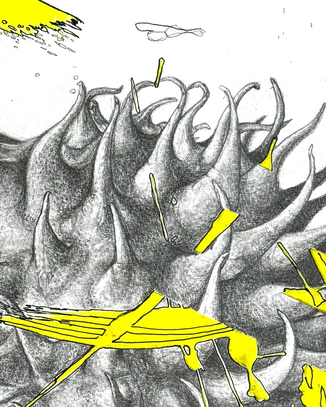 Nadia_Turan_Seedpod_04.jpg