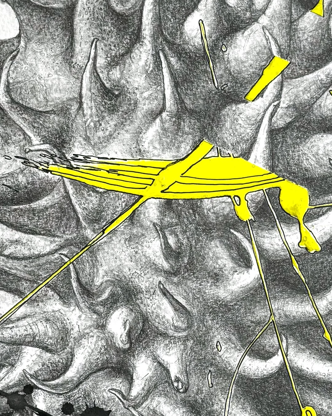 Nadia_Turan_Seedpod_01.jpg
