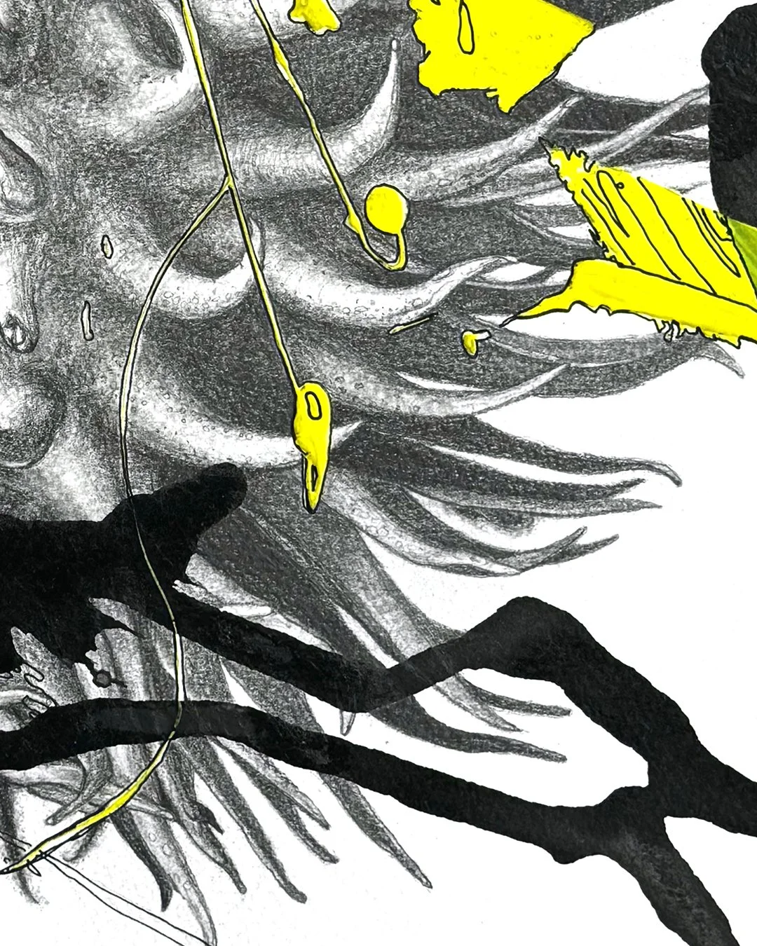 Nadia_Turan_Seedpod_03.jpg