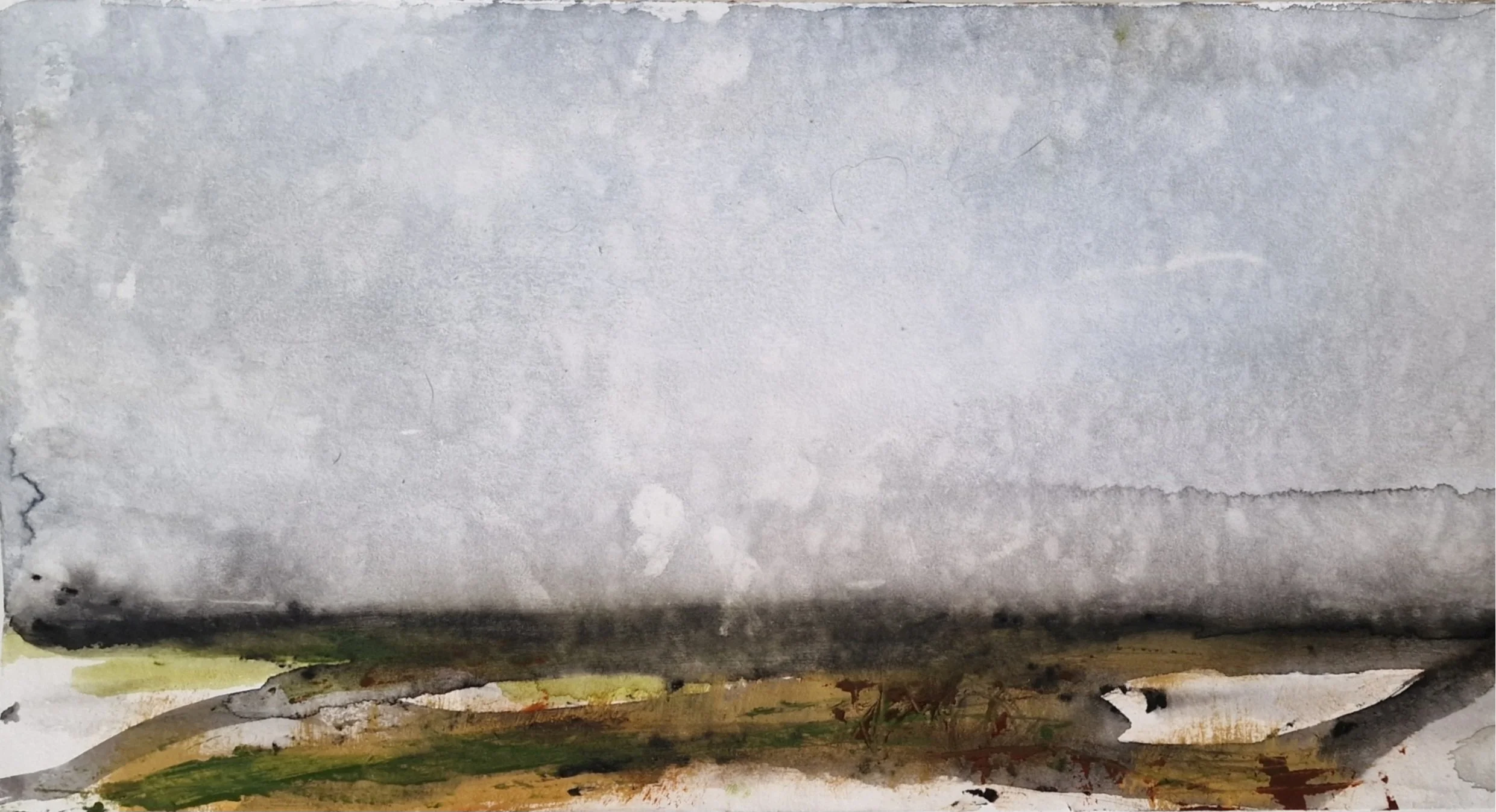 IMG_2026_02_16_1747458880 1.jpg