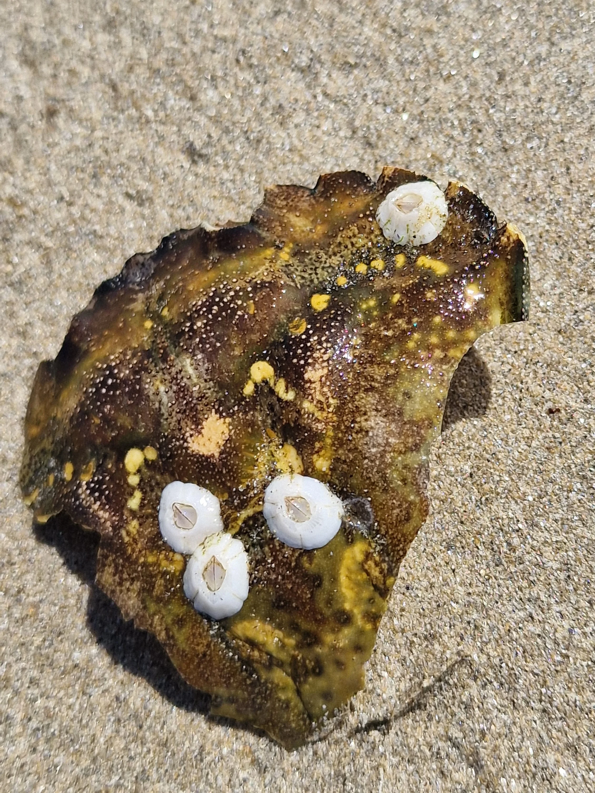 20260708_132731.jpg