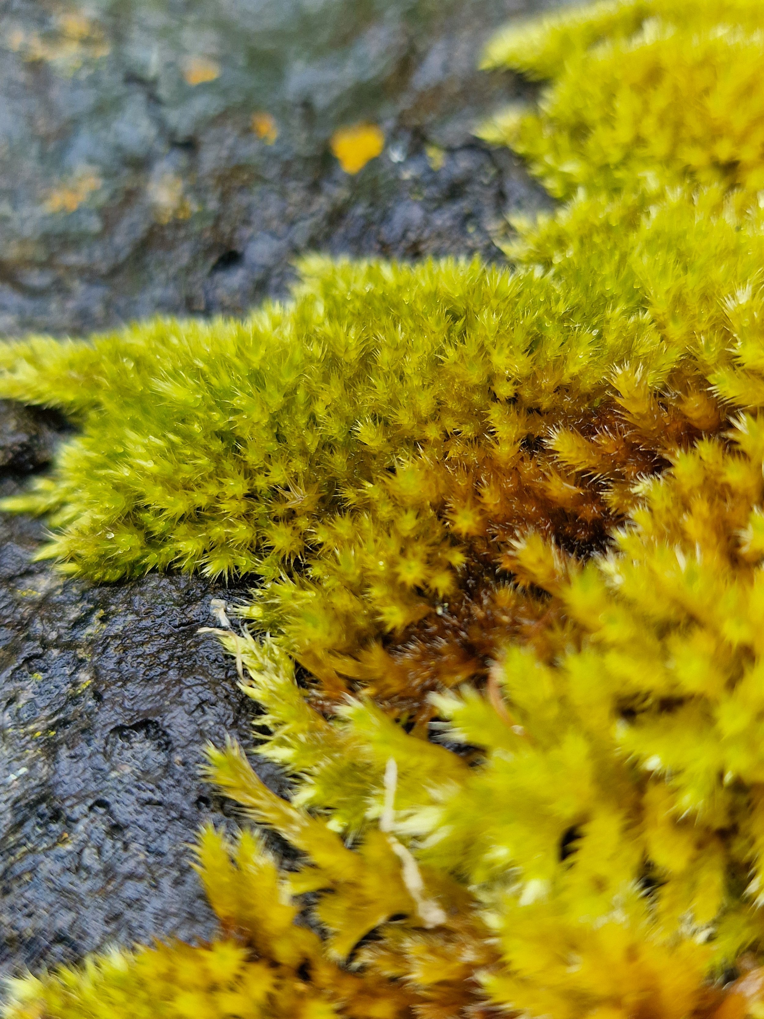 20260701_160737.jpg