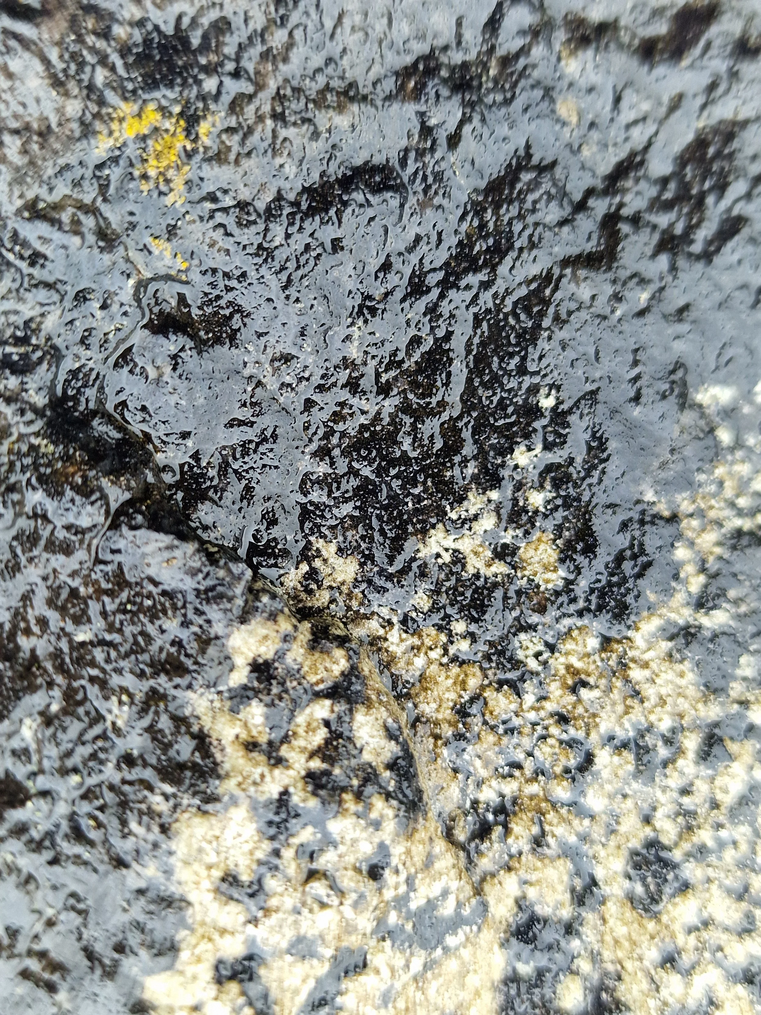 20260701_160525.jpg