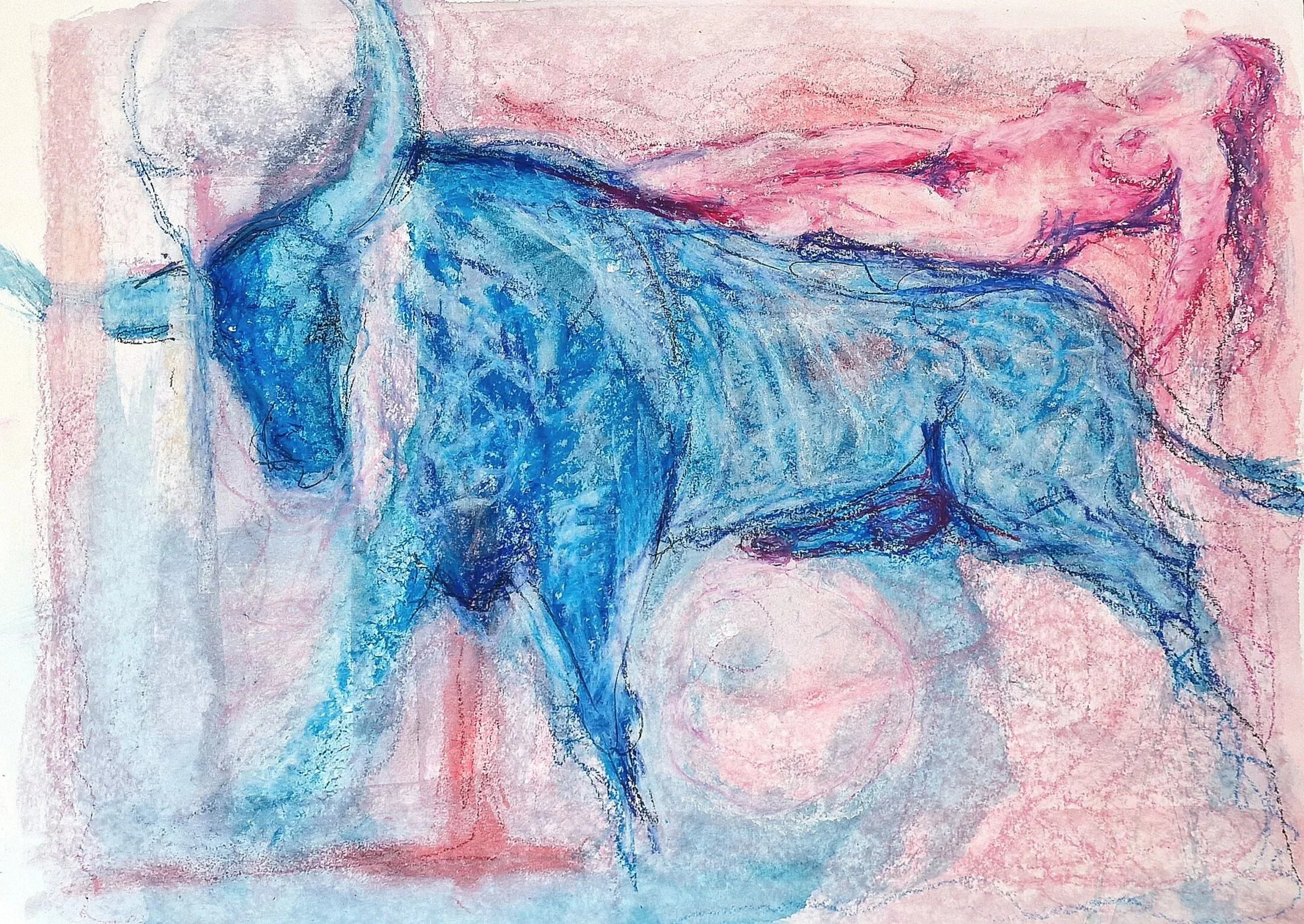 20230501_170001.jpg