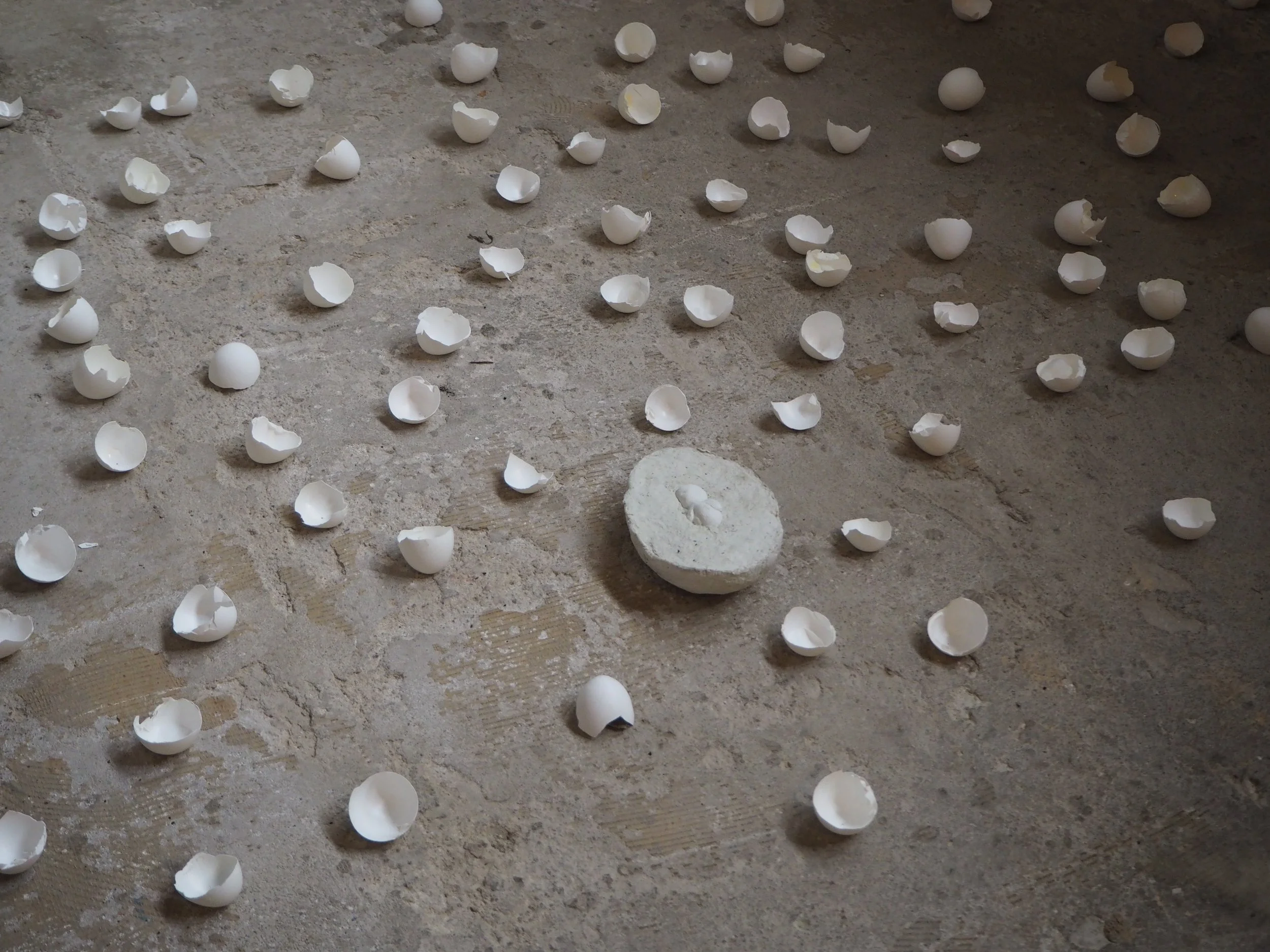 Ausschnitt Installation "home" (walking on eggshells)
