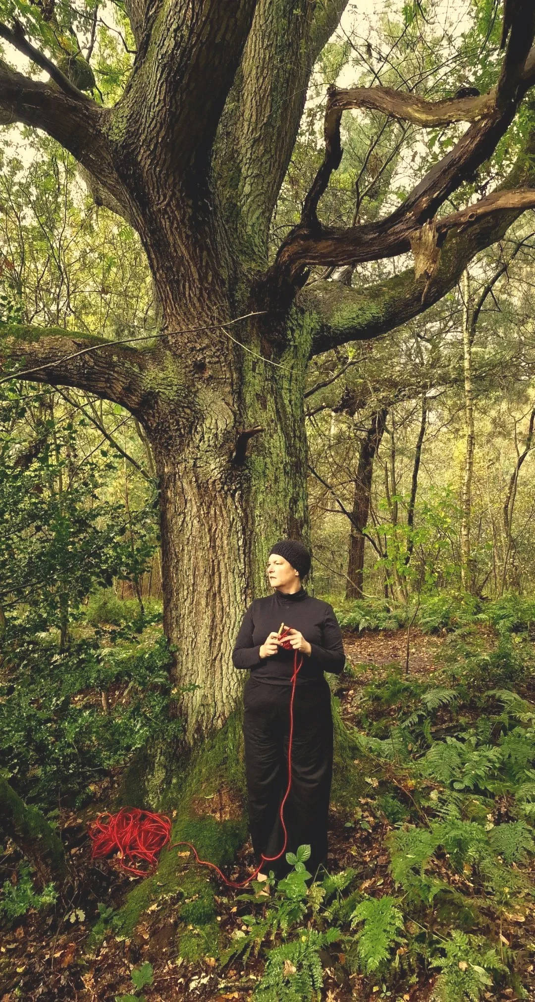Kathrin Ryan - Künstlerin - Der Vierte Raum - Oldenurg/Irland