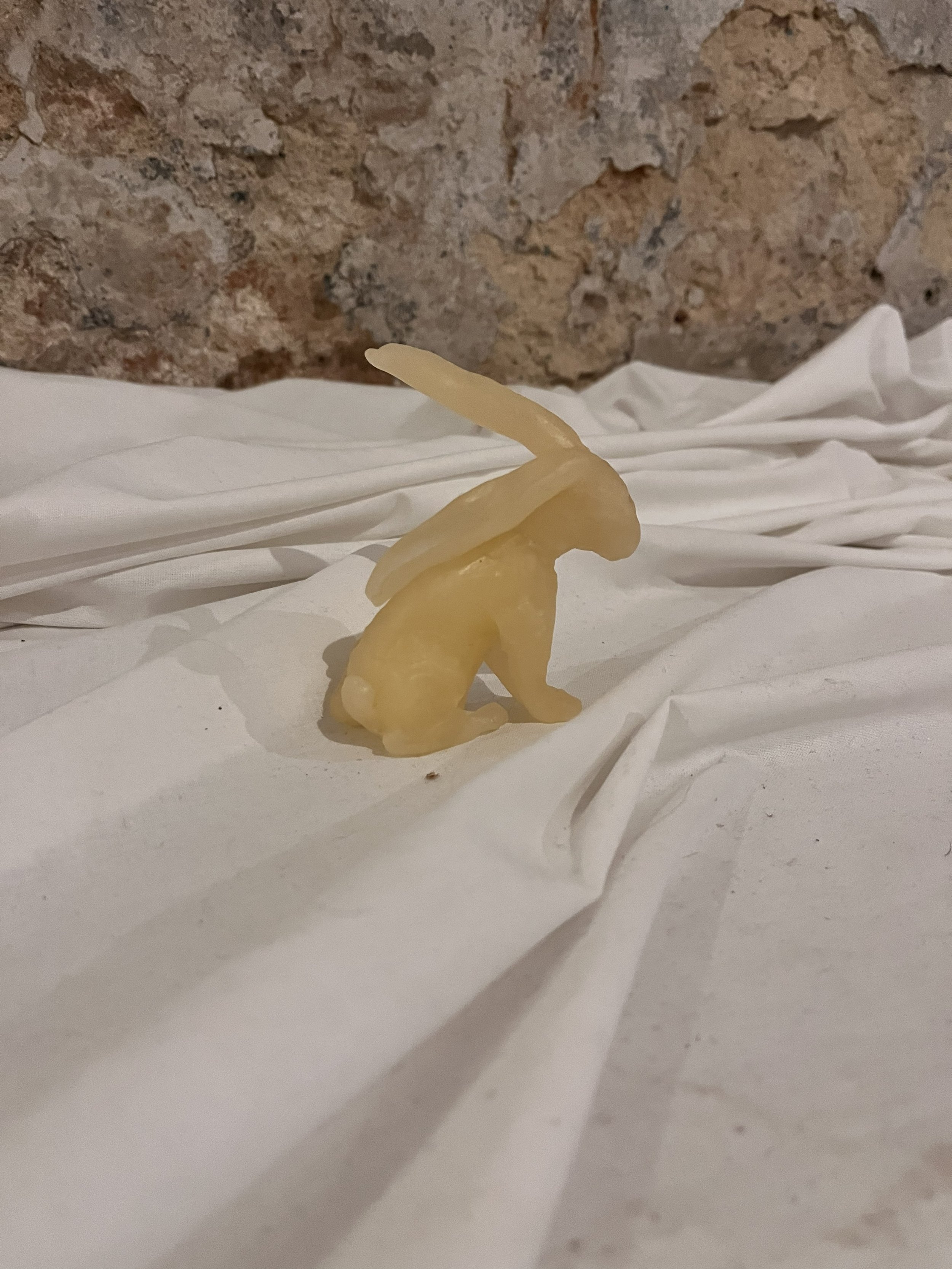 Teil von "Die Wäsche meiner Mütter", Miniatur Bildhauerwachs