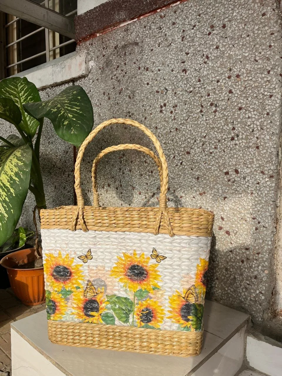 Sunflower field (1).jpeg