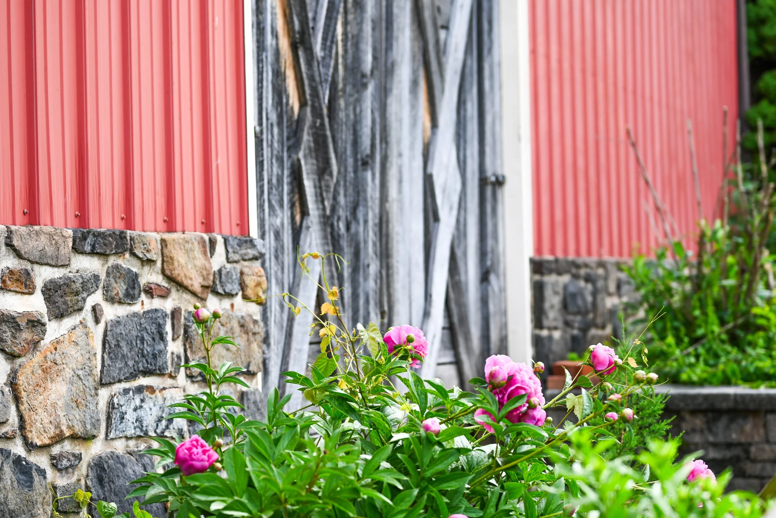 DSC_4506.jpg