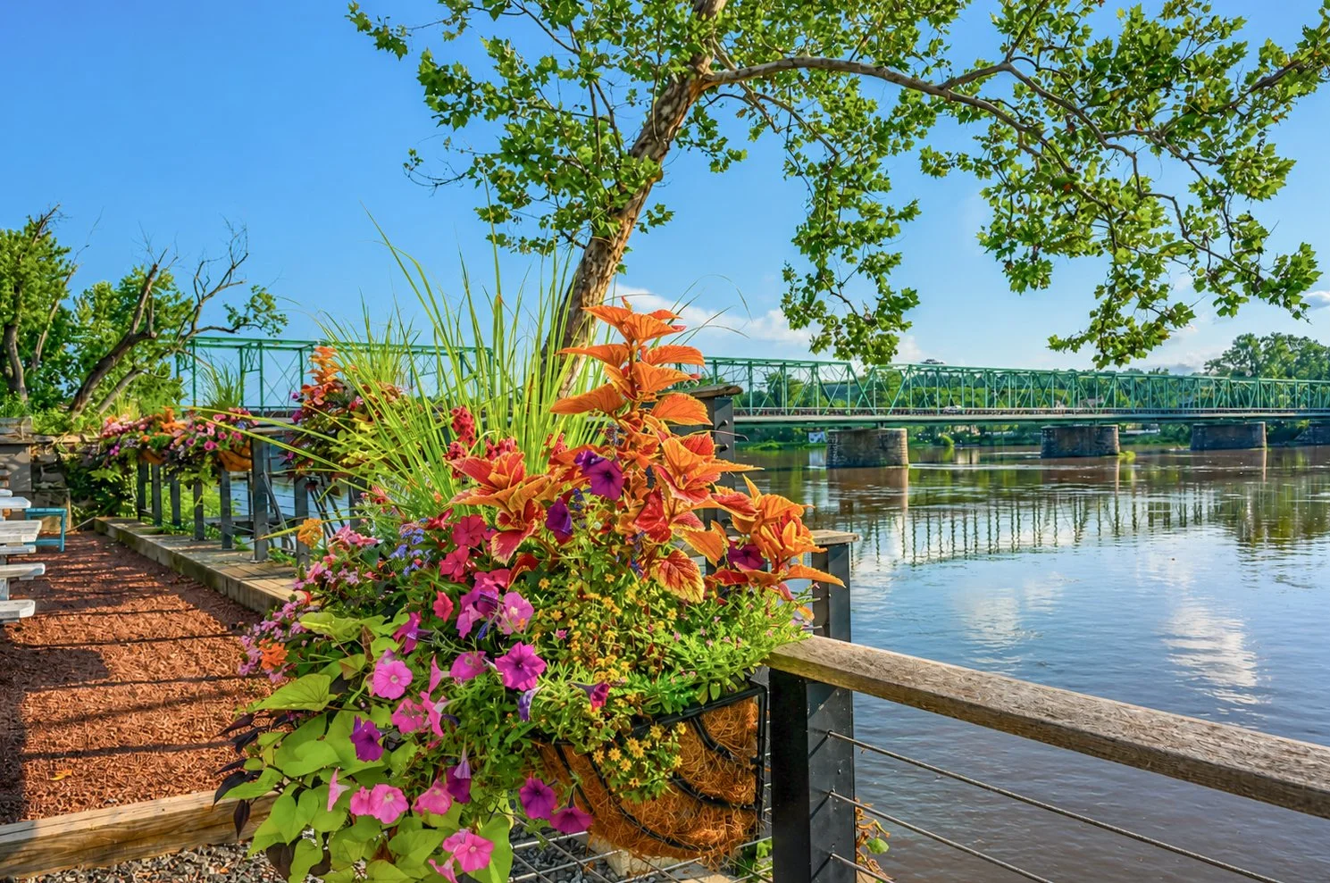 ferry market river.jpg