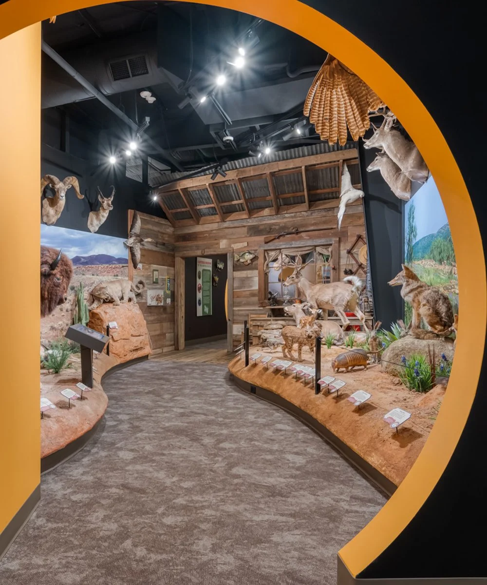Museum Tours