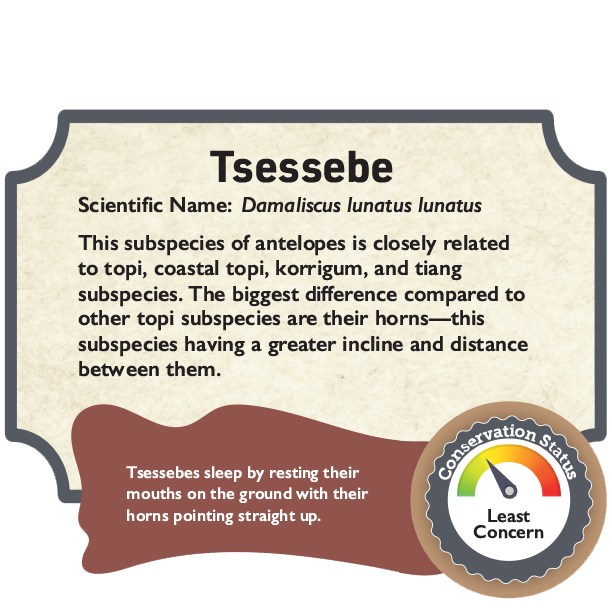 Tsessebe.png