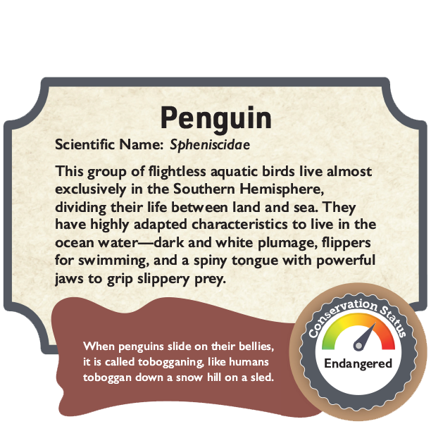 Penguin conservation status.png