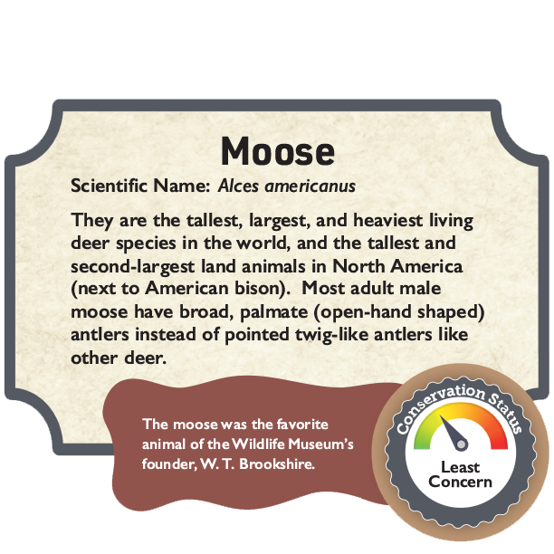 Moose.png