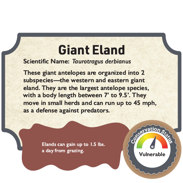 Giant Eland.png