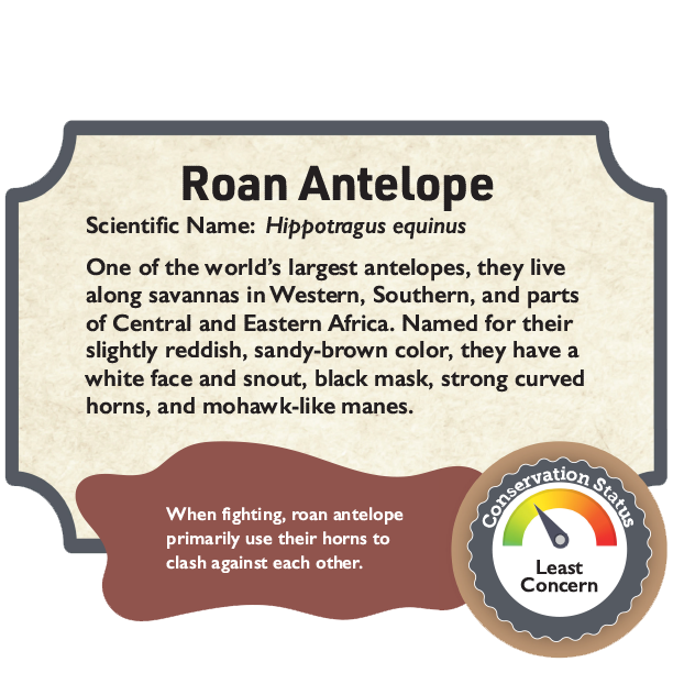 Roan Antelope.png