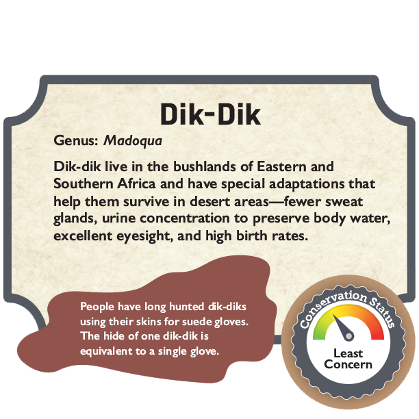 Dik Dik.png