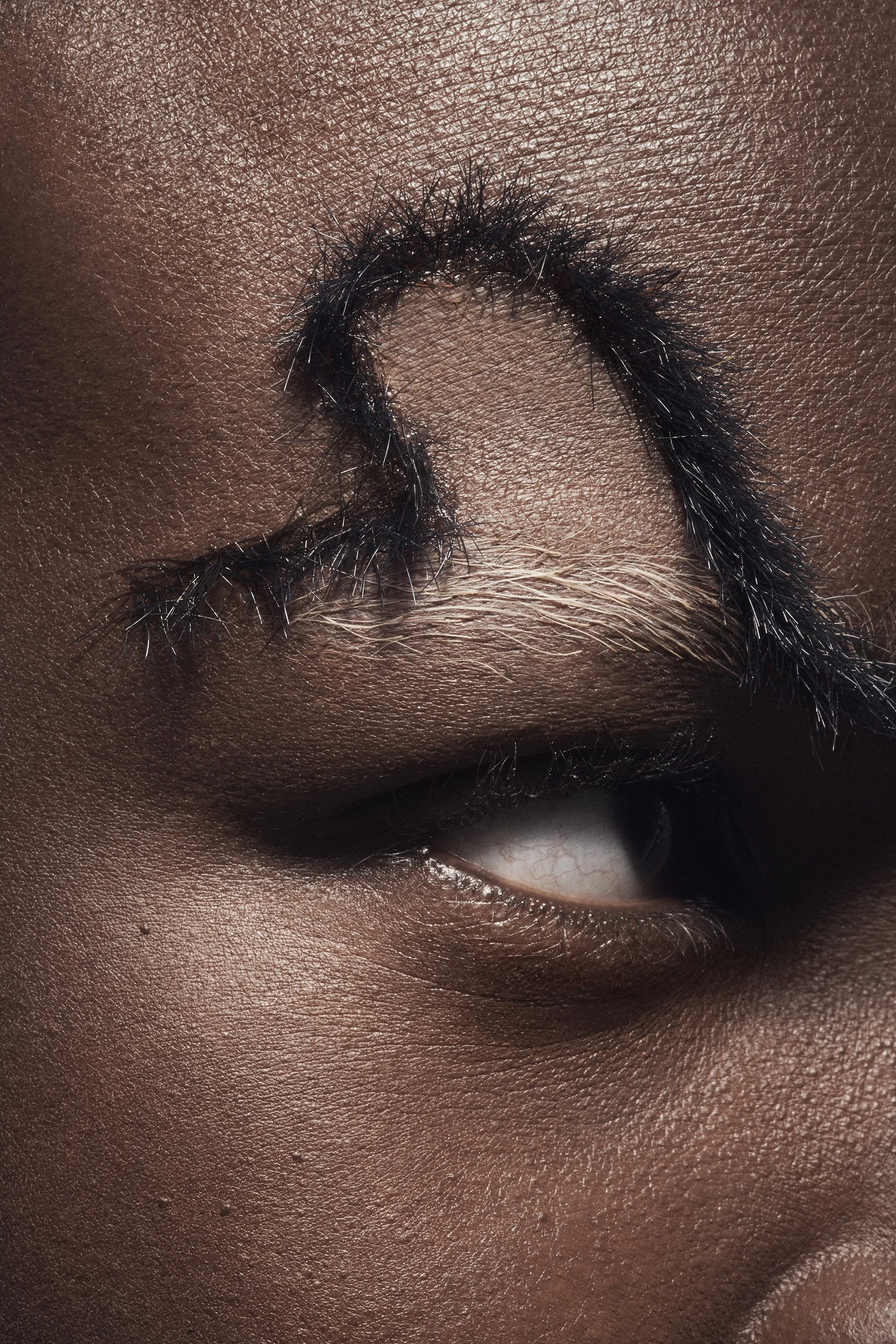 flocking beauty dazed arved andrew gallimore10.jpg