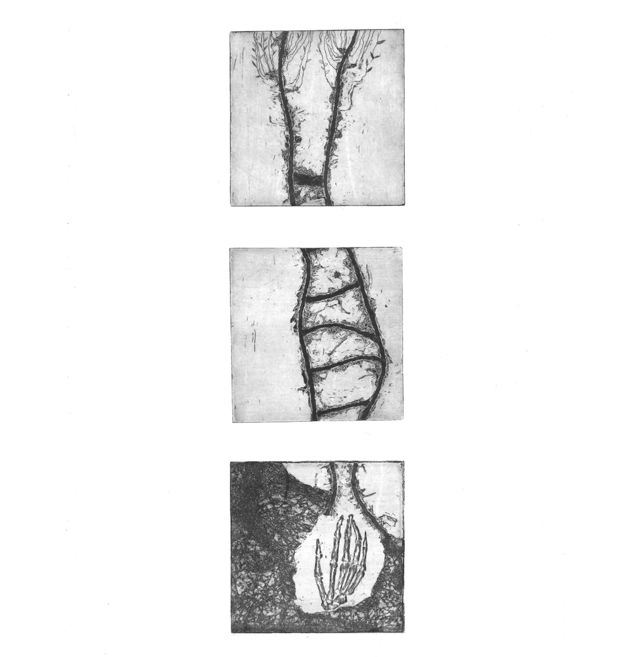Cera molle + Acquaforte