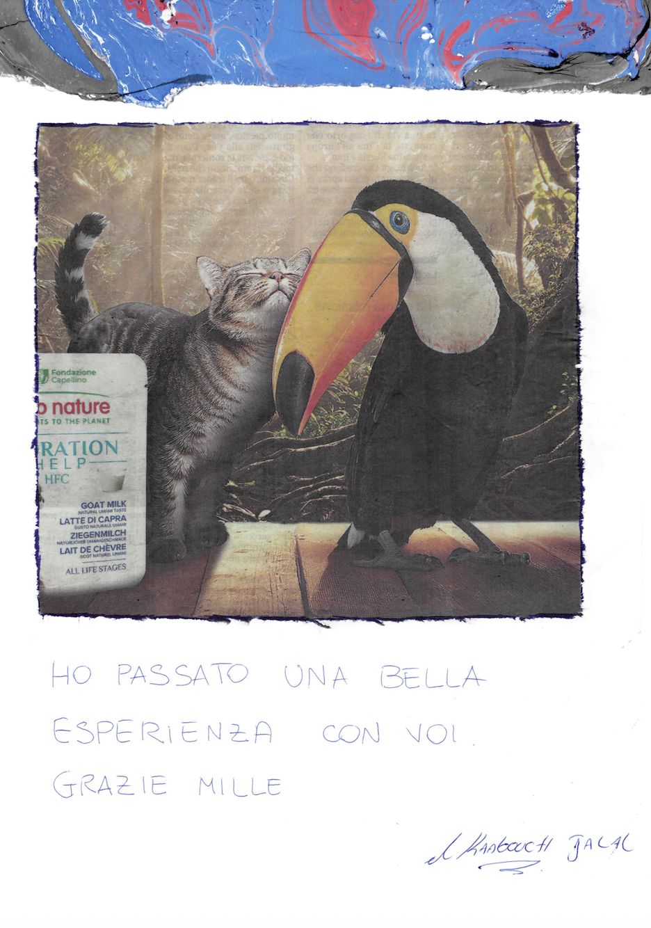 Screenshot 2026-02-04 at 17.31.42.png