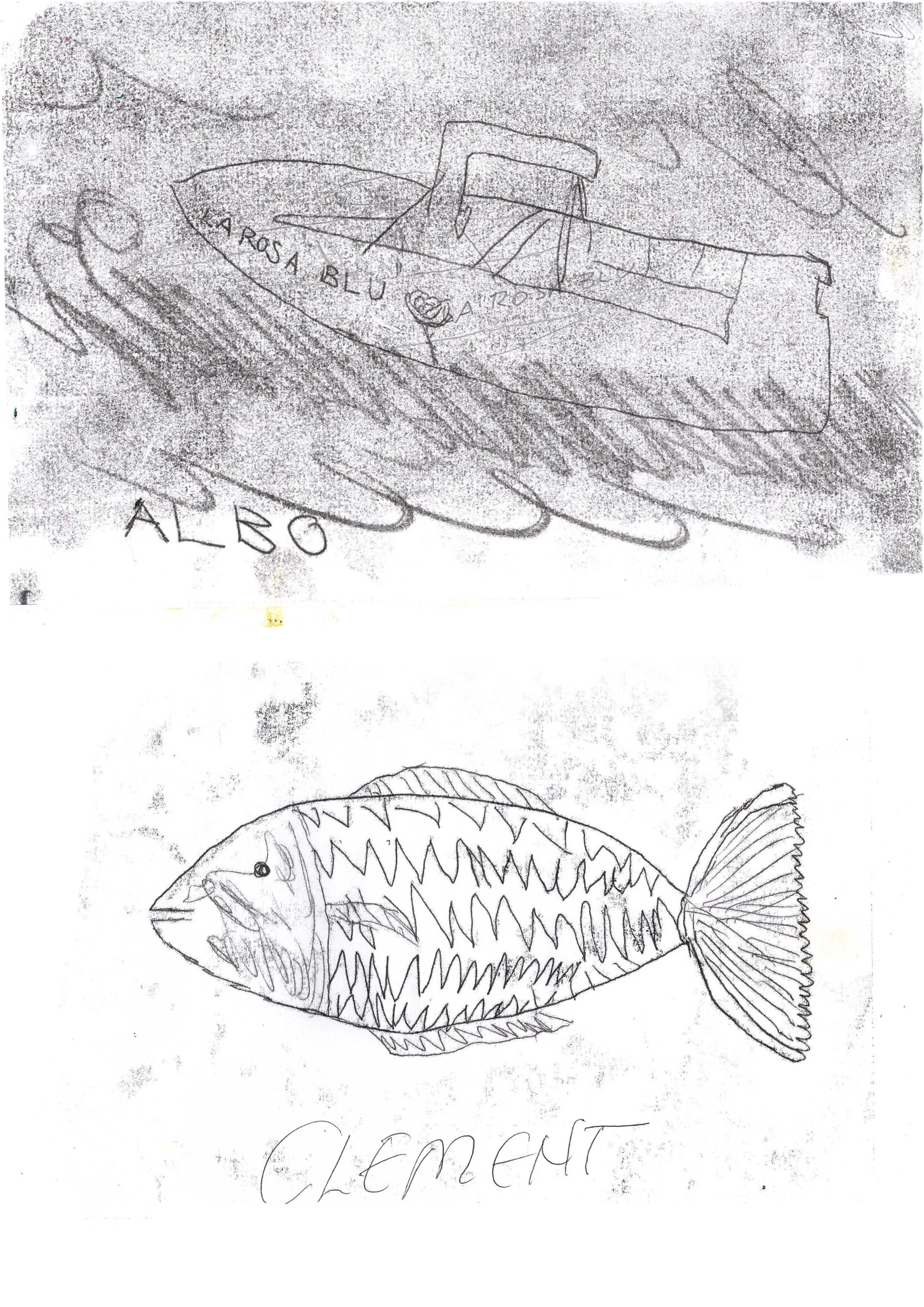 39.jpg