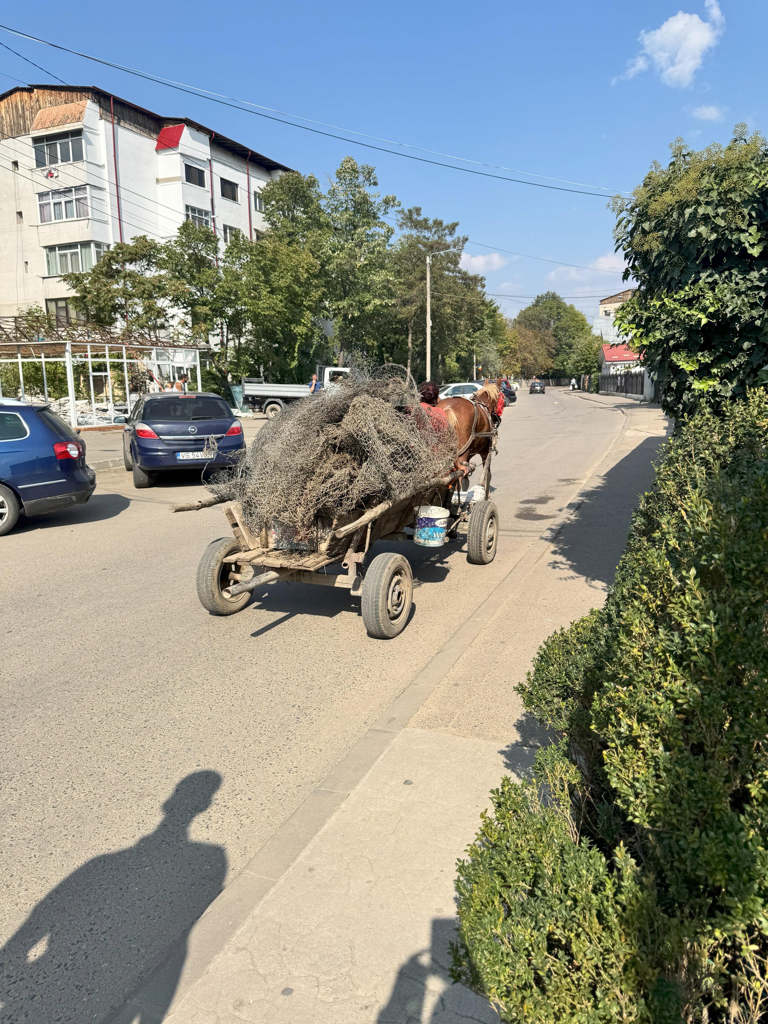Daily life