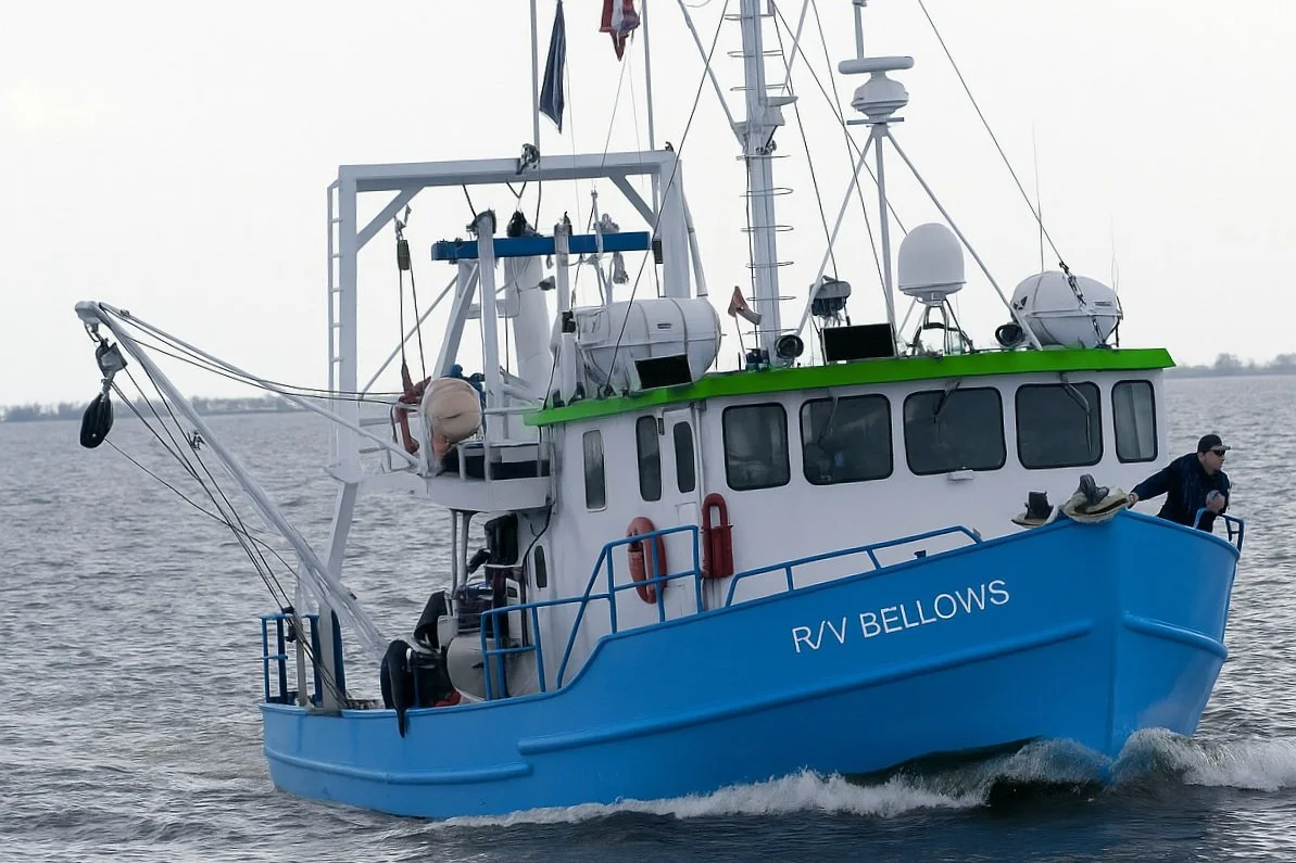 Bellows-Photo copy.jpg