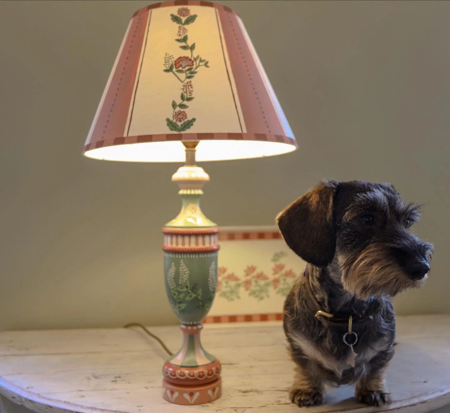 Treacle posing with the Dulverton table lamp pink- now available to shop on my new website (link in my bio) 

So excited to have released a collection of hand-painted trays, lampshades and bases. 

*treacle not included in purchase&hellip;..

#HandPa