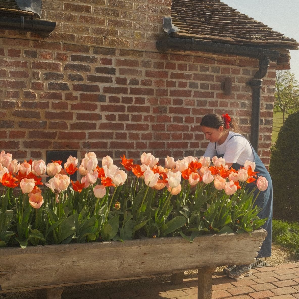 Some behind the scene shots taken whilst gathering inspiration from the garden at home 🌷🌷 🌷
