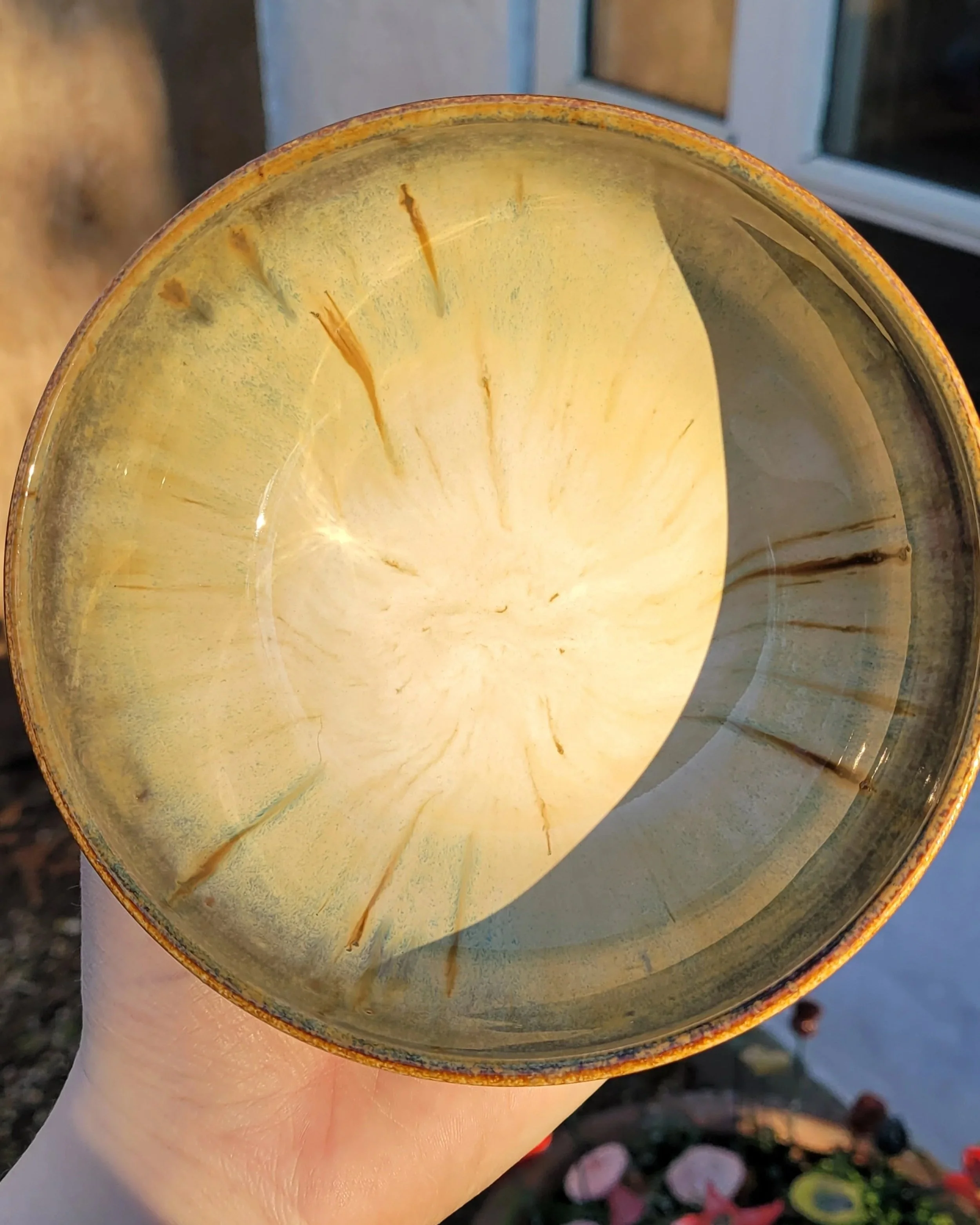 Naturens Birke Skål