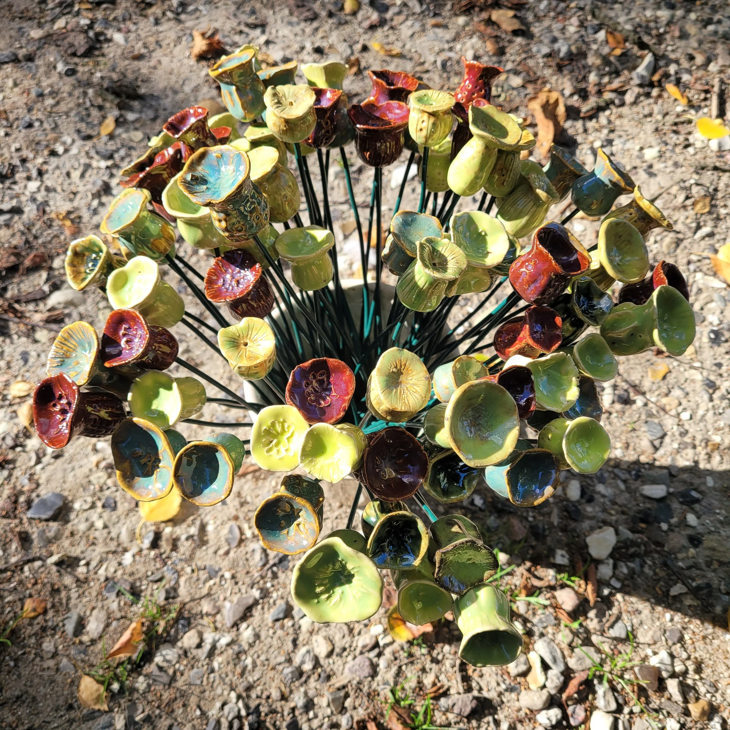 Små Frøkapsler - Evigsblomster