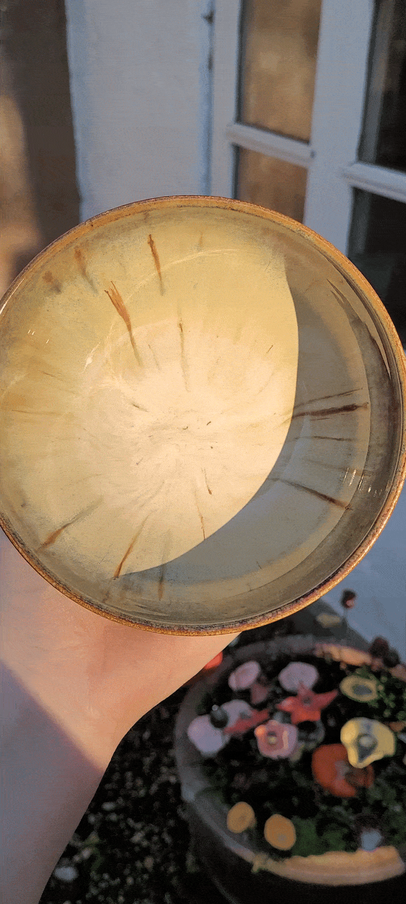 ezgif.com-optimize (2).gif