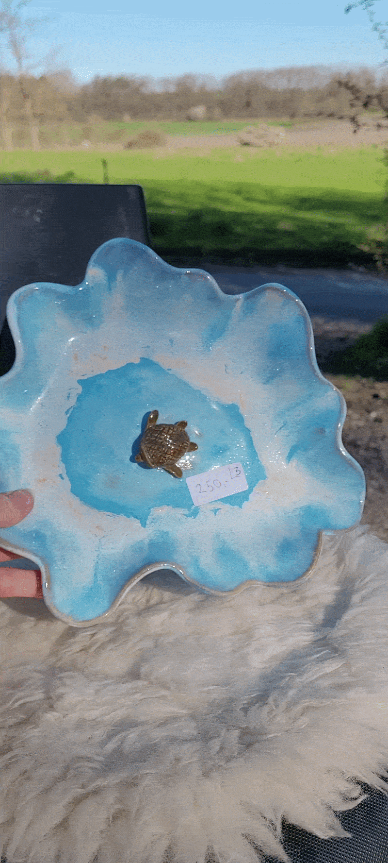 skildpadde fad.gif