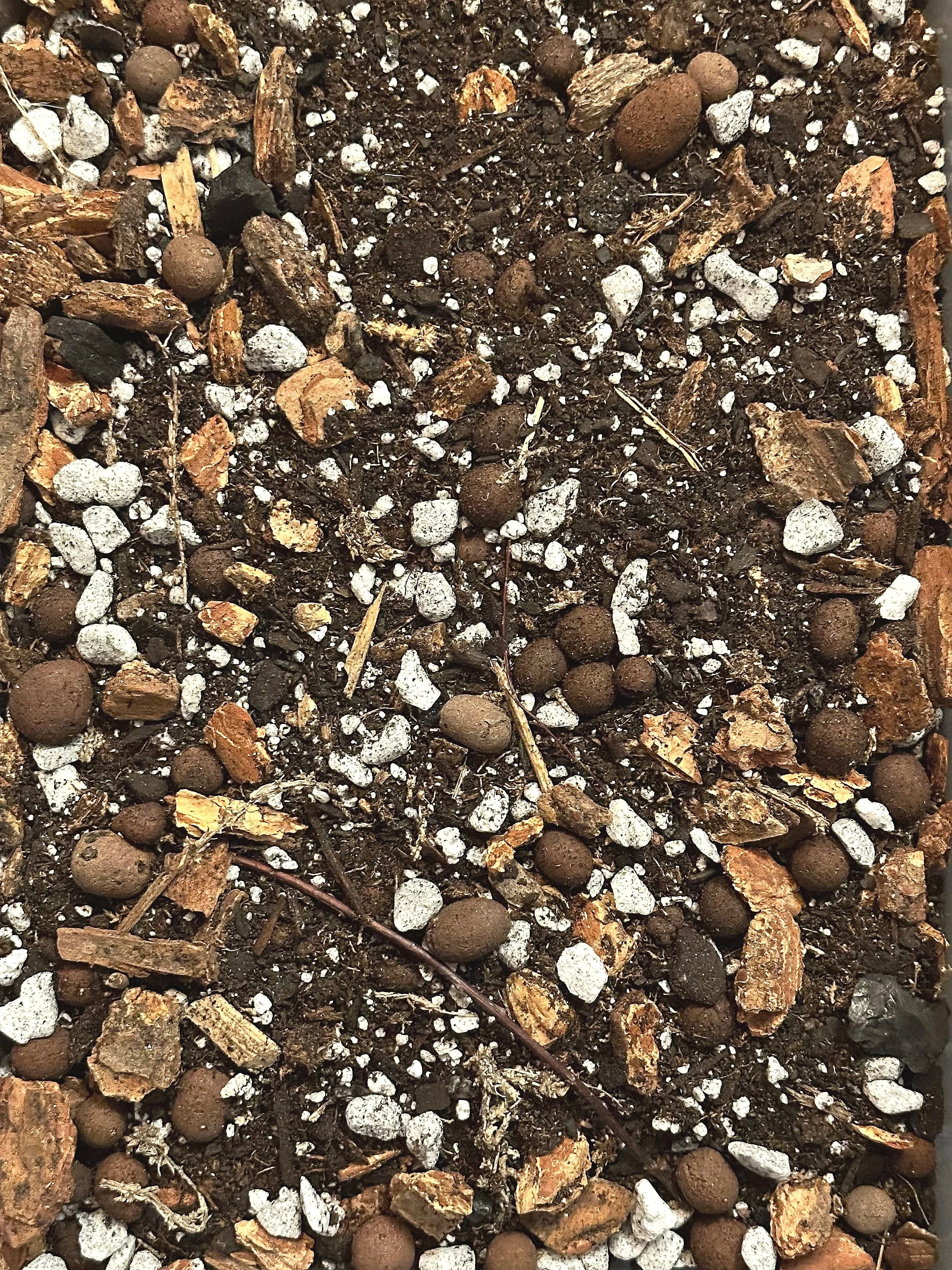 The Simple Trick to Fix an Overwatered Plant (Hint: It Starts With Your Soil).  