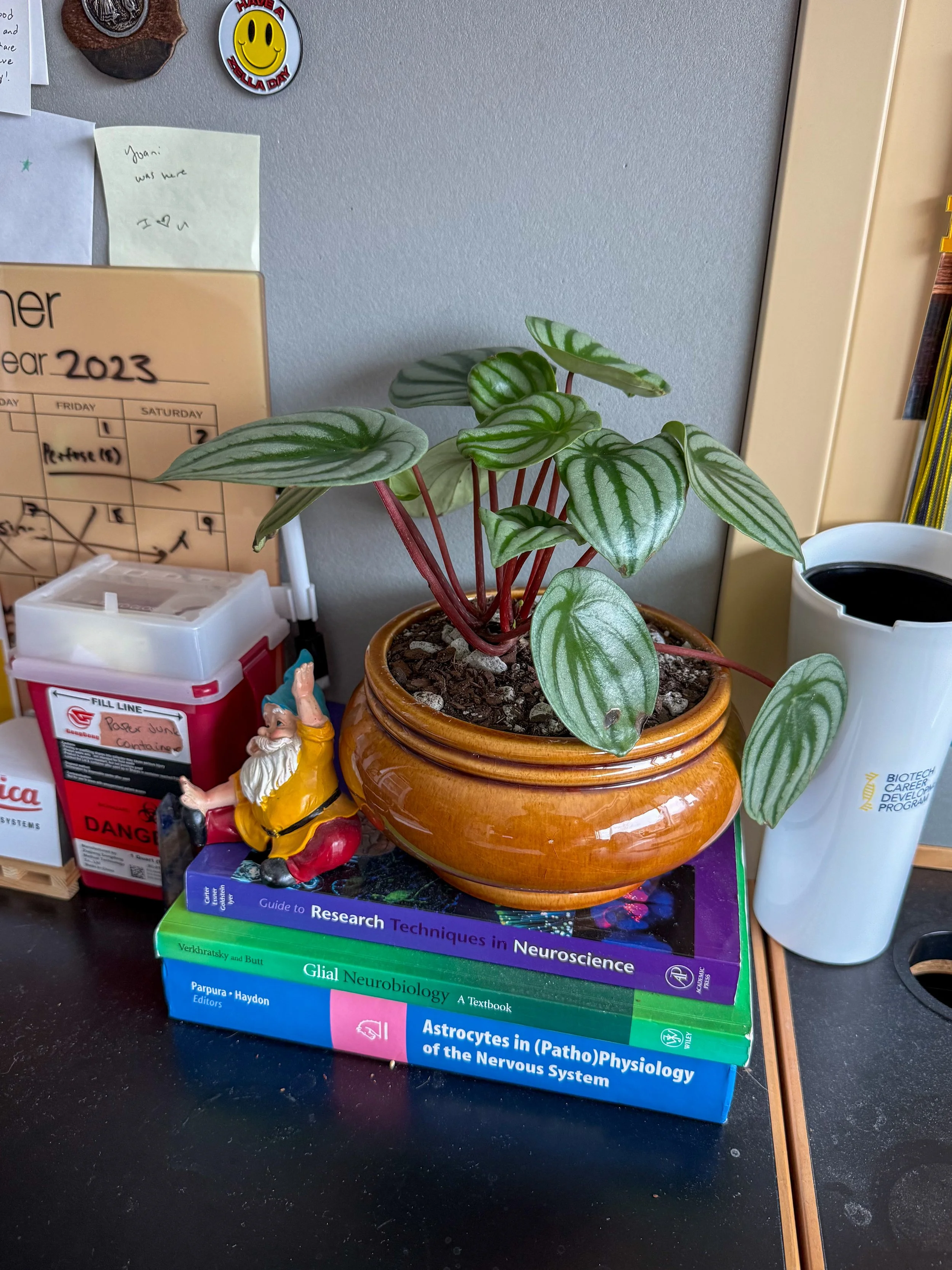 The Androots Guide to Thrifting the Perfect Planter
