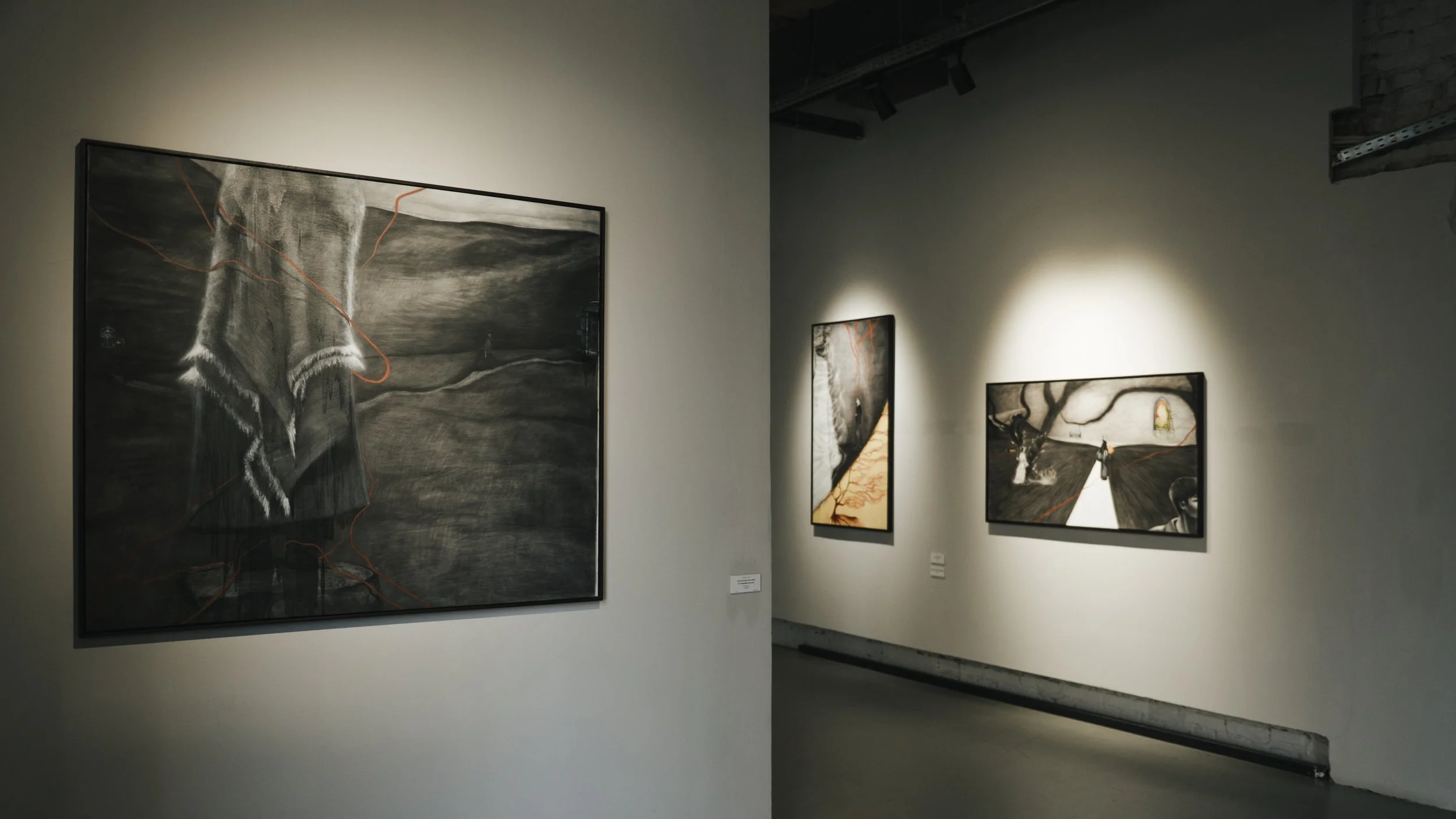 Artworks by the romanian artist Andrada Lolu. Photo by Daniel Truța.