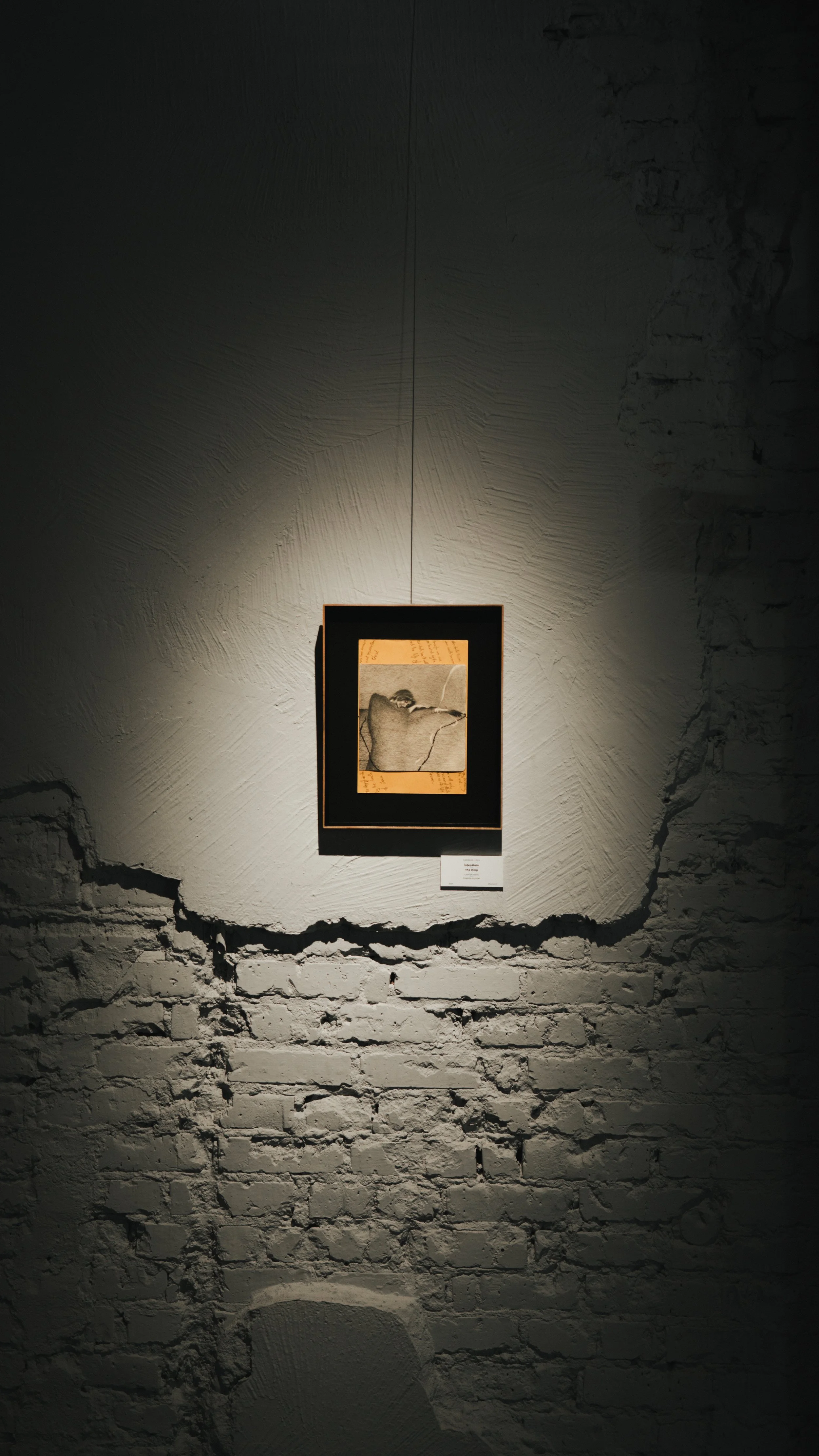 The sting, 2024   graphite on paper  43 × 34.5 cm (framed) by Andrada Lolu. Photo by Daniel Truța.