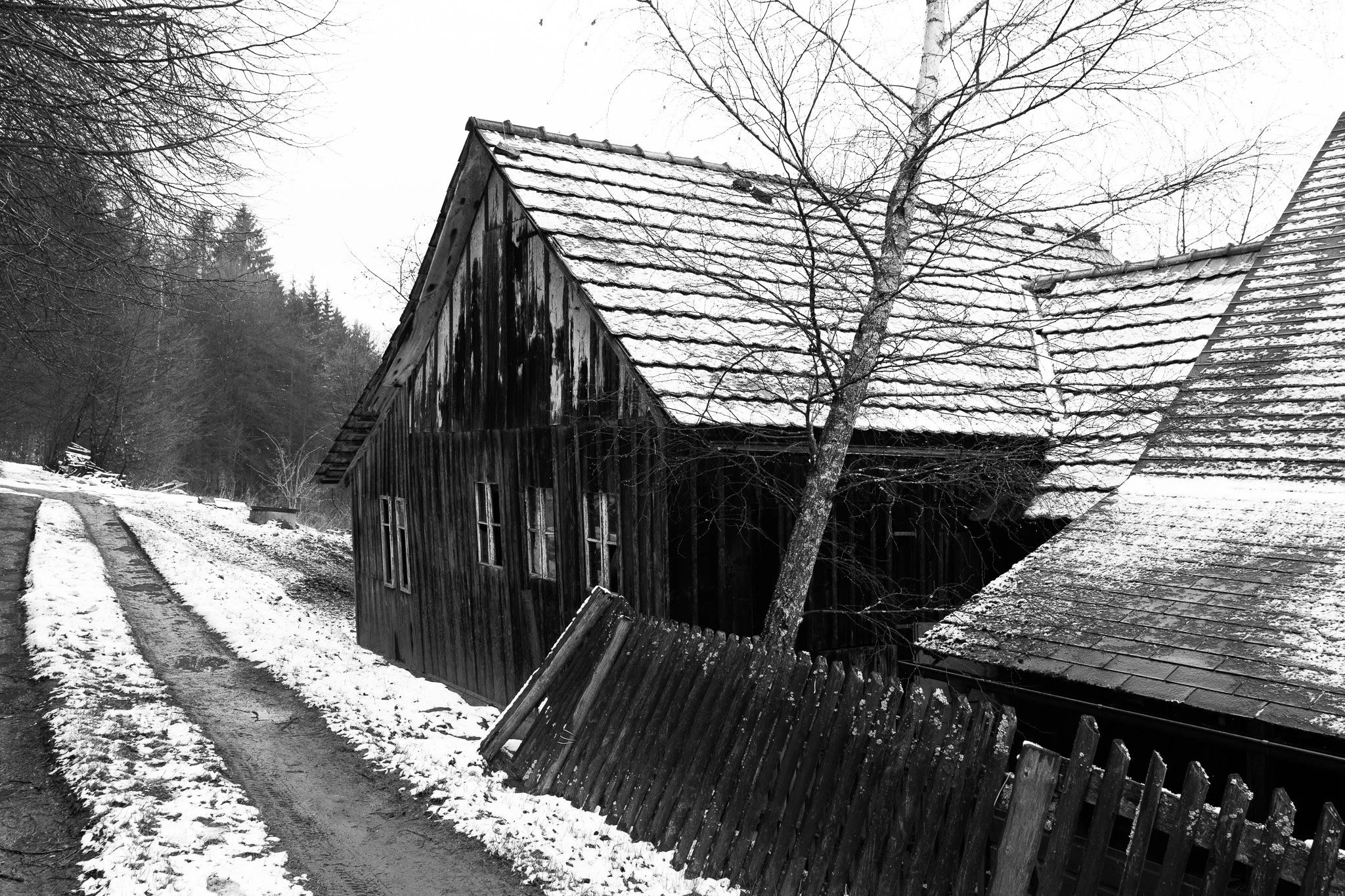 _DSC0461.jpg
