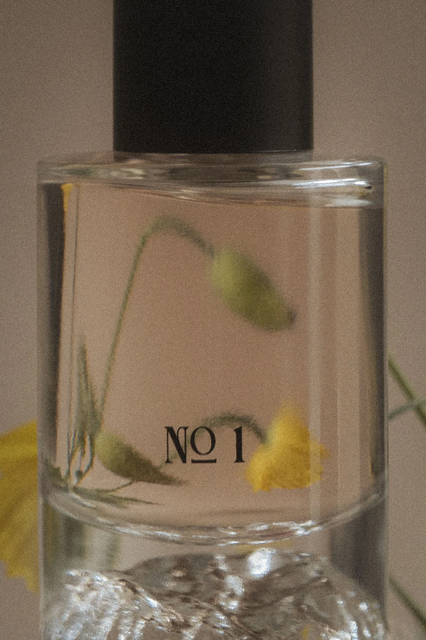 emaflajzarova_flora_14.jpg