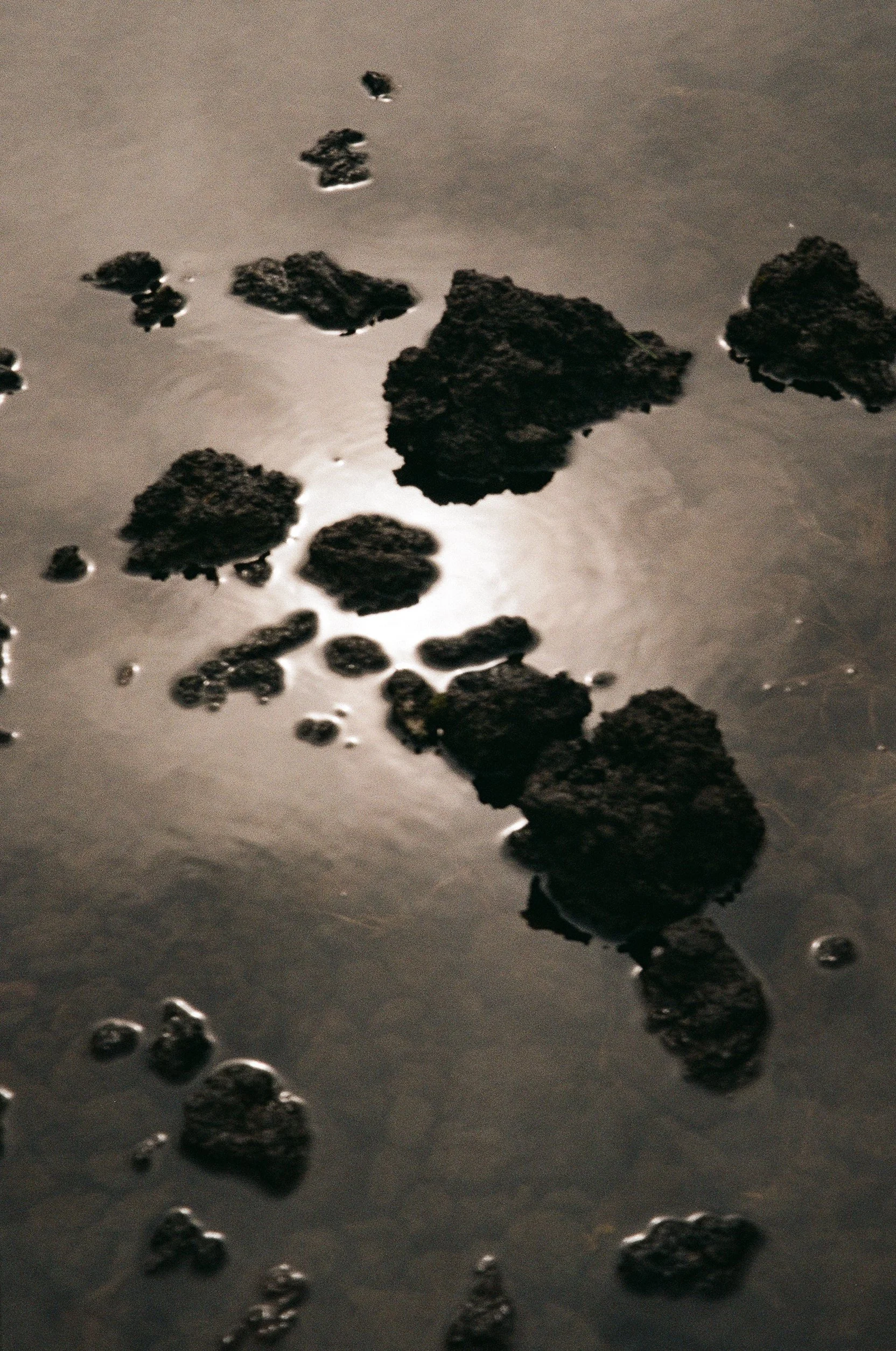 emaflajzarova_cones_02.jpg