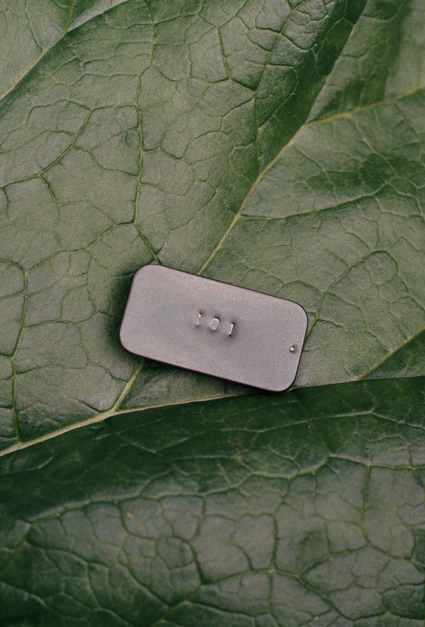 000005920035-Edit-2.jpg