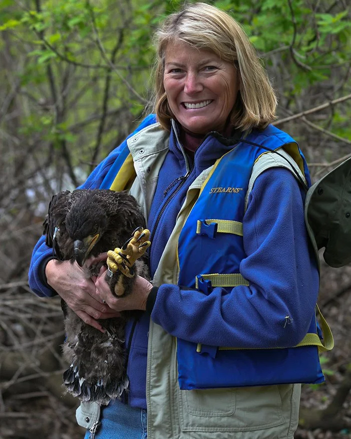 BALD_EAGLE_CONSERVATION_03.jpg
