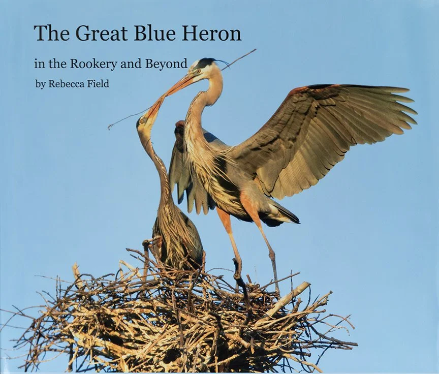 GT_BL_HERON_01.jpg