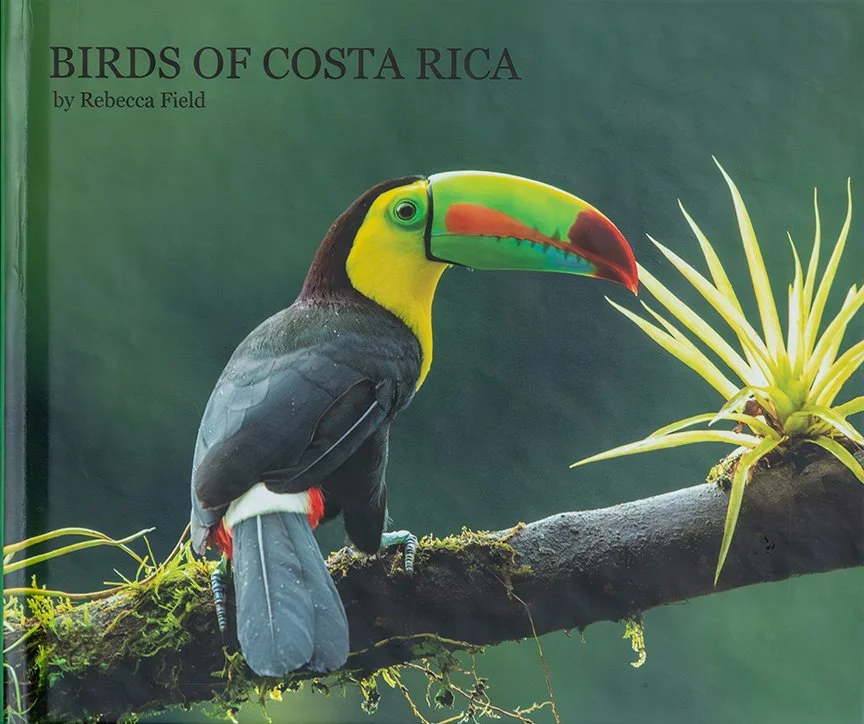 COSTA_RICA_01.jpg
