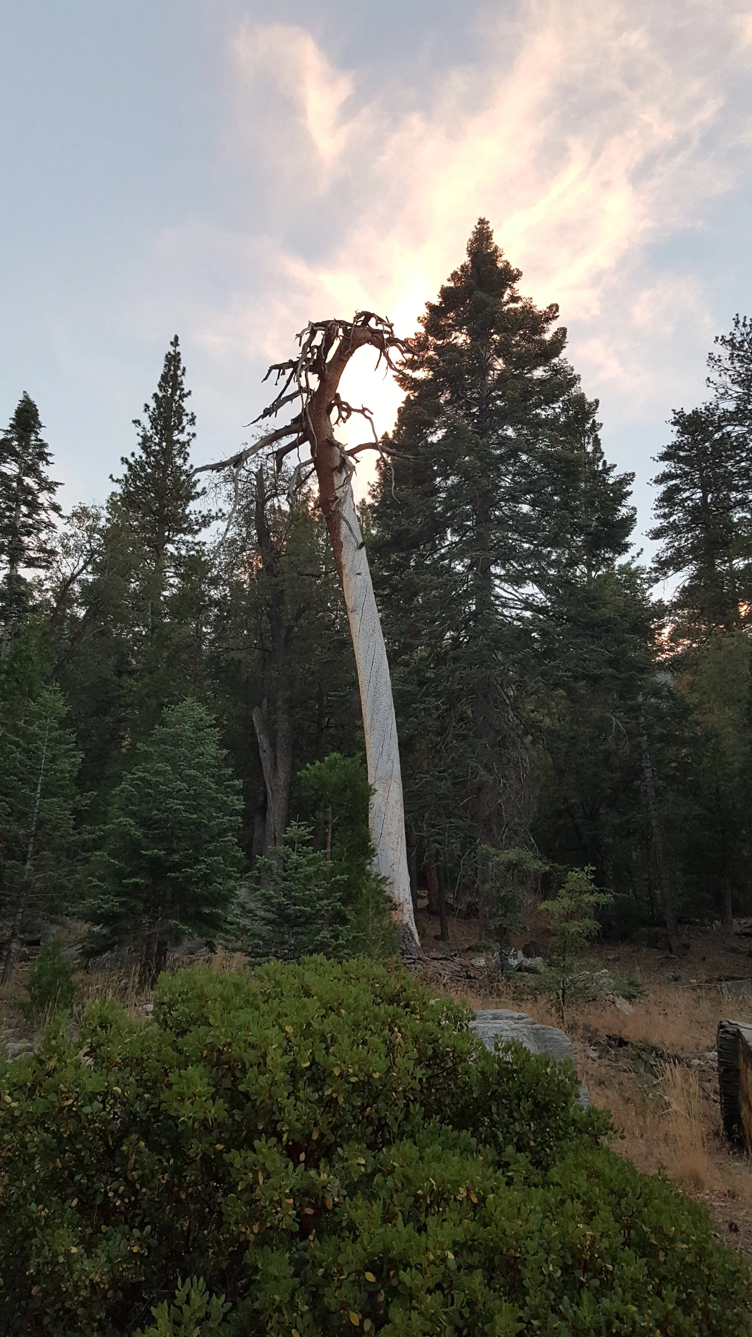 Our Moods Can Go Through Seasons, too: An Honest Conversation About Seasonal Affective Disorder