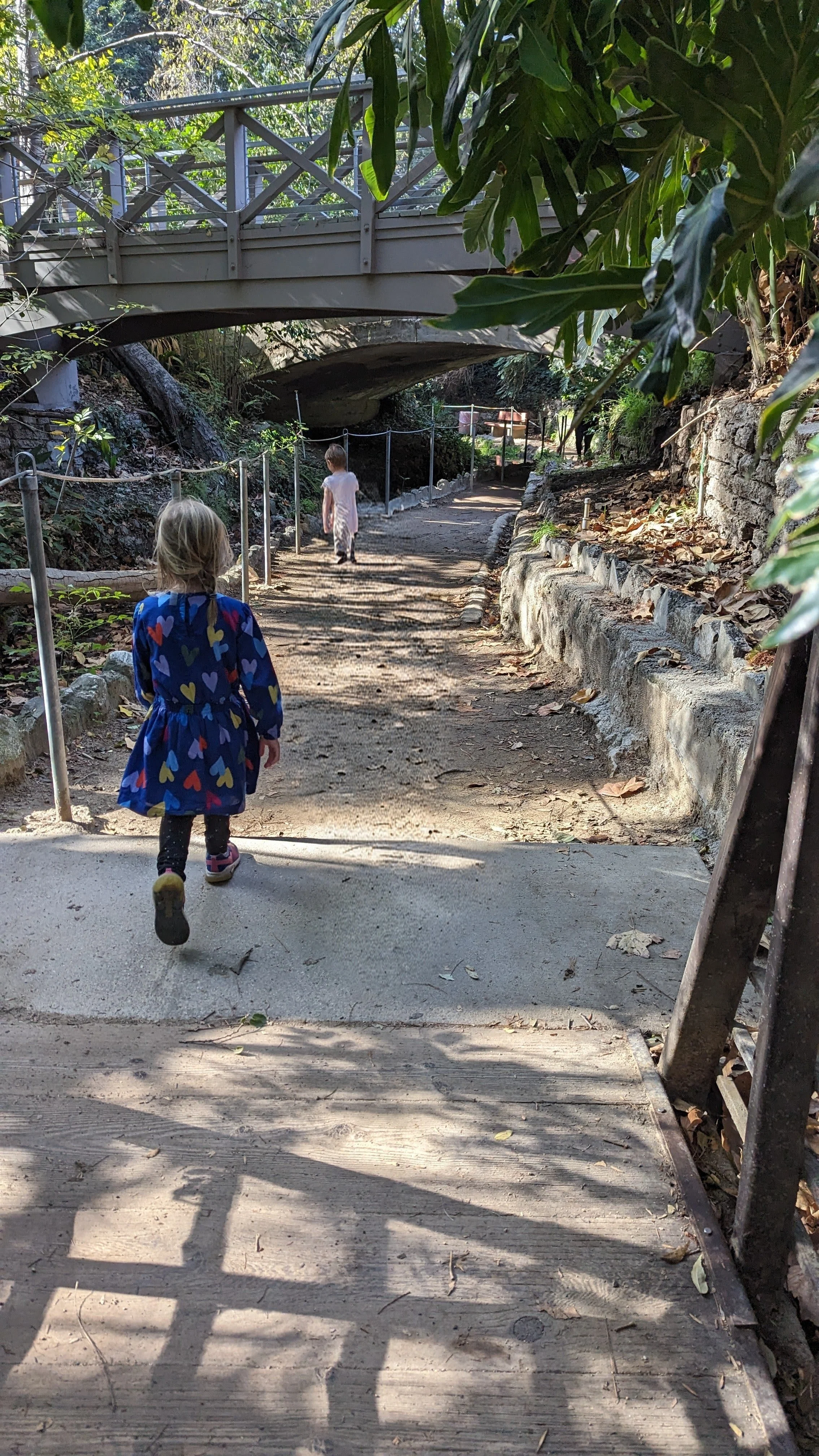 How Does the Brain Change to Form New Habits?