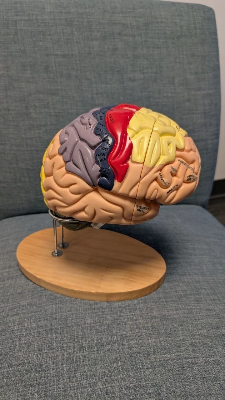 The Complete Guide to Brainspotting for Anxiety