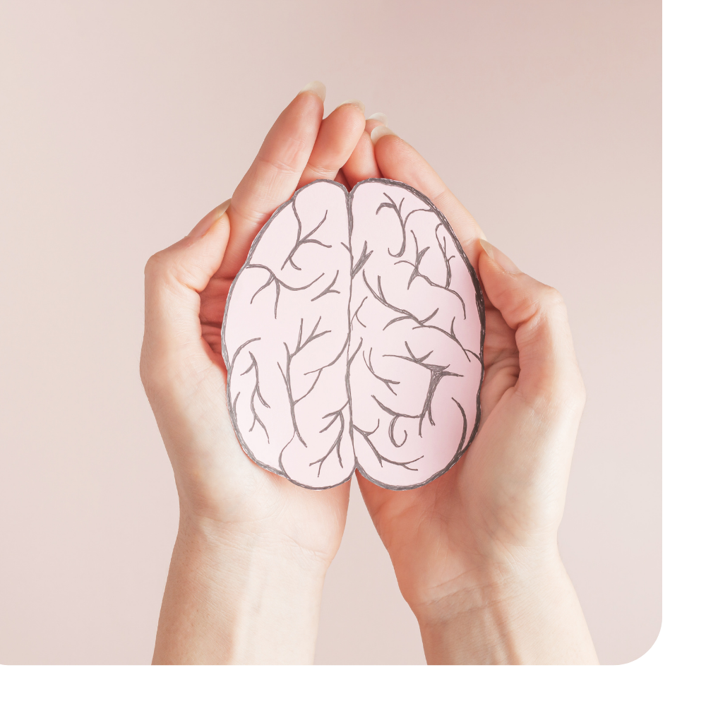 Hands holding a paper cutout of a brain with simplified line drawing of brain's structure.