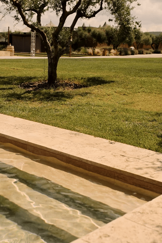 A backyard scene with a tree on a well-maintained grassy lawn, and a stone or concrete water feature or fountain in the foreground with flowing water.